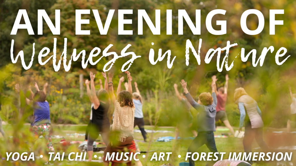An Evening of Wellness in Nature at Ault Park